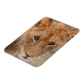 Magnet Flexible Lion Cub (Côté Gauche)