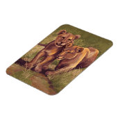 Magnet Flexible Lion Cubs (Côté Gauche)