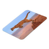 Magnet Flexible Lion de montagne (Côté Gauche)