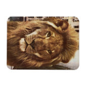 Magnet Flexible lion en ville (Horizontal)