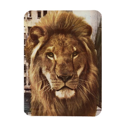 Magnet Flexible lion en ville (Vertical)