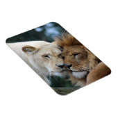 Magnet Flexible Lion et Lion (Côté Droit)
