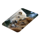 Magnet Flexible Lion et Lion (Côté Gauche)