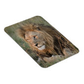 Magnet Flexible LION Réfrigérateur Aimant VOTRE Modèle photo (Côté Droit)