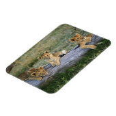 Magnet Flexible Lionceaux sur rondin (Côté Gauche)