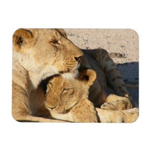 Magnet Flexible Lioness and Cub Resting Together
