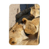 Magnet Flexible Lioness et Cub se reposent ensemble (Vertical)