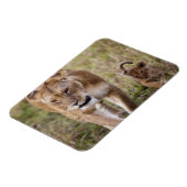 Magnet Flexible Lionne avec son petit (Côté Gauche)