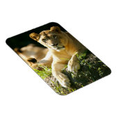 Magnet Flexible Lions (Côté Droit)