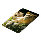 Magnet Flexible Lions (Côté Gauche)