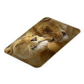 Magnet Flexible Lions aimant (Côté Gauche)