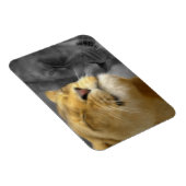 Magnet Flexible Lions dans l'amour (Côté Droit)
