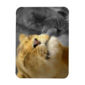 Magnet Flexible Lions dans l'amour (Vertical)