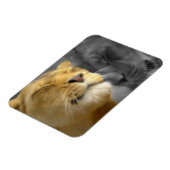 Magnet Flexible Lions dans l'amour (Côté Gauche)