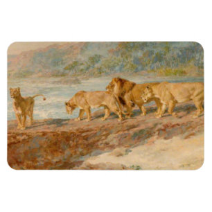Magnet Flexible Lions sur la rive d'un fleuve africain