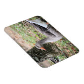 Magnet Flexible Liquide (Côté Droit)