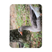 Magnet Flexible Liquide (Vertical)