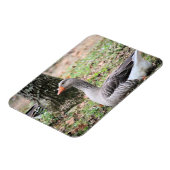 Magnet Flexible Liquide (Côté Gauche)