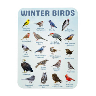 Magnet Flexible liste d'oiseaux d'hiver dans le Michigan USA