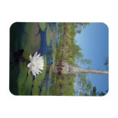 Magnet Flexible Lit d'eau 2 (Horizontal)