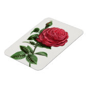Magnet Flexible Lithographie de rose antique, François-Frédéric Gr (Côté Gauche)