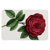 Magnet Flexible Lithographie de rose antique, François-Frédéric Gr (Horizontal)