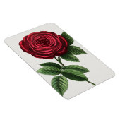 Magnet Flexible Lithographie de rose antique, François-Frédéric Gr (Côté Droit)