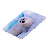 Magnet Flexible Little Harp Seal Pup Covered in Snowflakes (Côté Gauche)