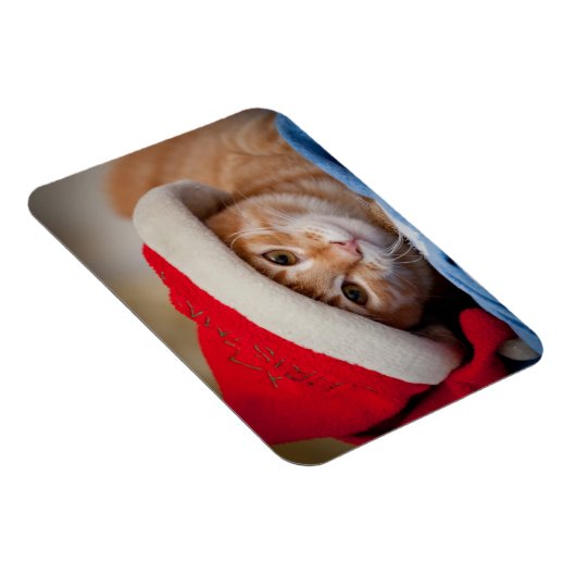 Magnet Flexible Little Kitten en Casquette de Noël rouge (Côté Droit)