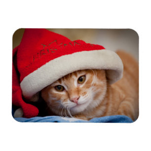 Magnet Flexible Little Kitten en Casquette de Noël rouge