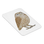 Magnet Flexible Little Owl 2011 (Côté Droit)