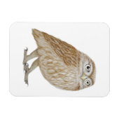 Magnet Flexible Little Owl 2011 (Horizontal)
