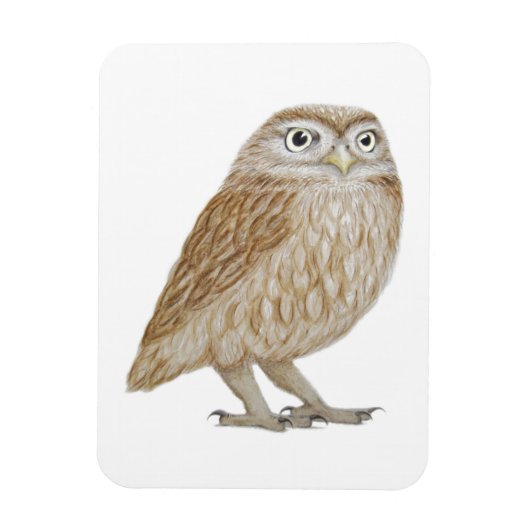 Magnet Flexible Little Owl 2011 (Vertical)