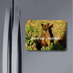 Magnet Flexible Little Wallaby