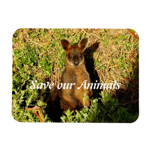 Magnet Flexible Little Wallaby (Horizontal)