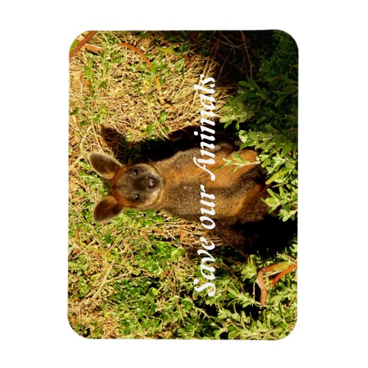 Magnet Flexible Little Wallaby (Vertical)