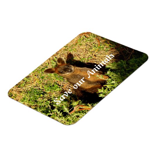 Magnet Flexible Little Wallaby (Côté Gauche)