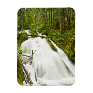 Magnet Flexible Little Zig Zag Falls   Mount Hood National Forest