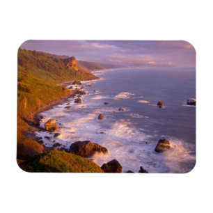 Magnet Flexible Littoral des séquoias, Californie