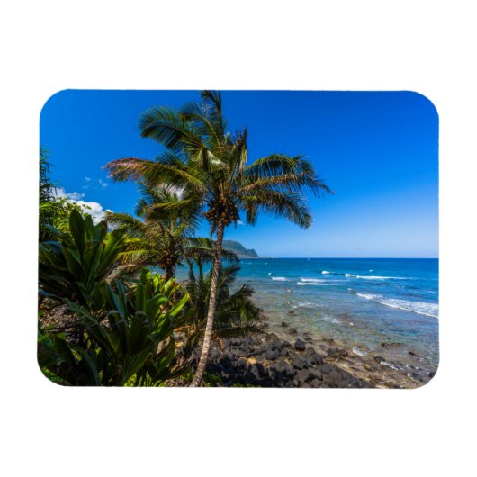 Magnet Flexible Littoral tropical (Horizontal)