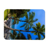 Magnet Flexible Littoral tropical 2 (Horizontal)