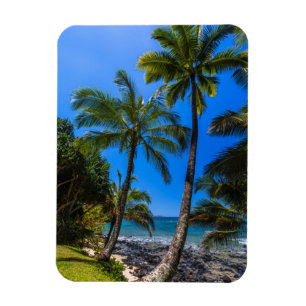 Magnet Flexible Littoral tropical 2