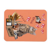 Magnet Flexible Livres gratuits (Horizontal)