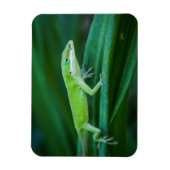 Magnet Flexible Lizard d'Anole Verte (Vertical)