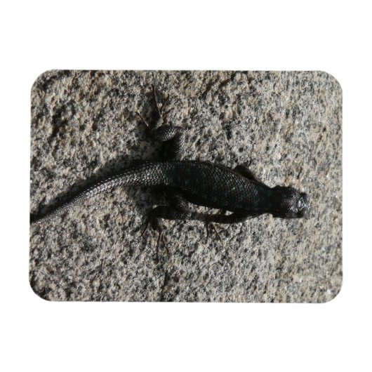 Magnet Flexible Lizard noir (Horizontal)