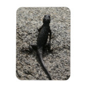 Magnet Flexible Lizard noir (Vertical)