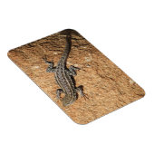 Magnet Flexible Lizard sur rocher (Côté Droit)