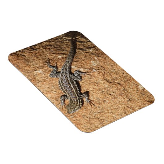 Magnet Flexible Lizard sur rocher (Côté Droit)