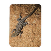 Magnet Flexible Lizard sur rocher (Vertical)
