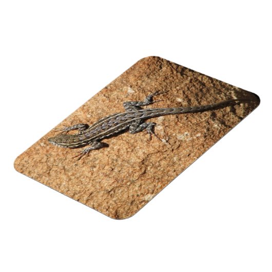 Magnet Flexible Lizard sur rocher (Côté Gauche)